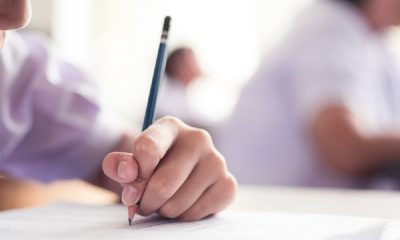 Cum poți verifica rezultatele BAC 2025 la Arad pe edu.ro?