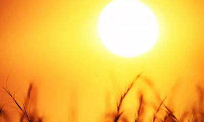 Cum va face față România codului portocaliu de caniculă cu maxime de 40 de grade?