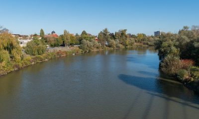 De ce a oprit Prefectura Arad irigațiile și adăparea cu apă din Mureș?