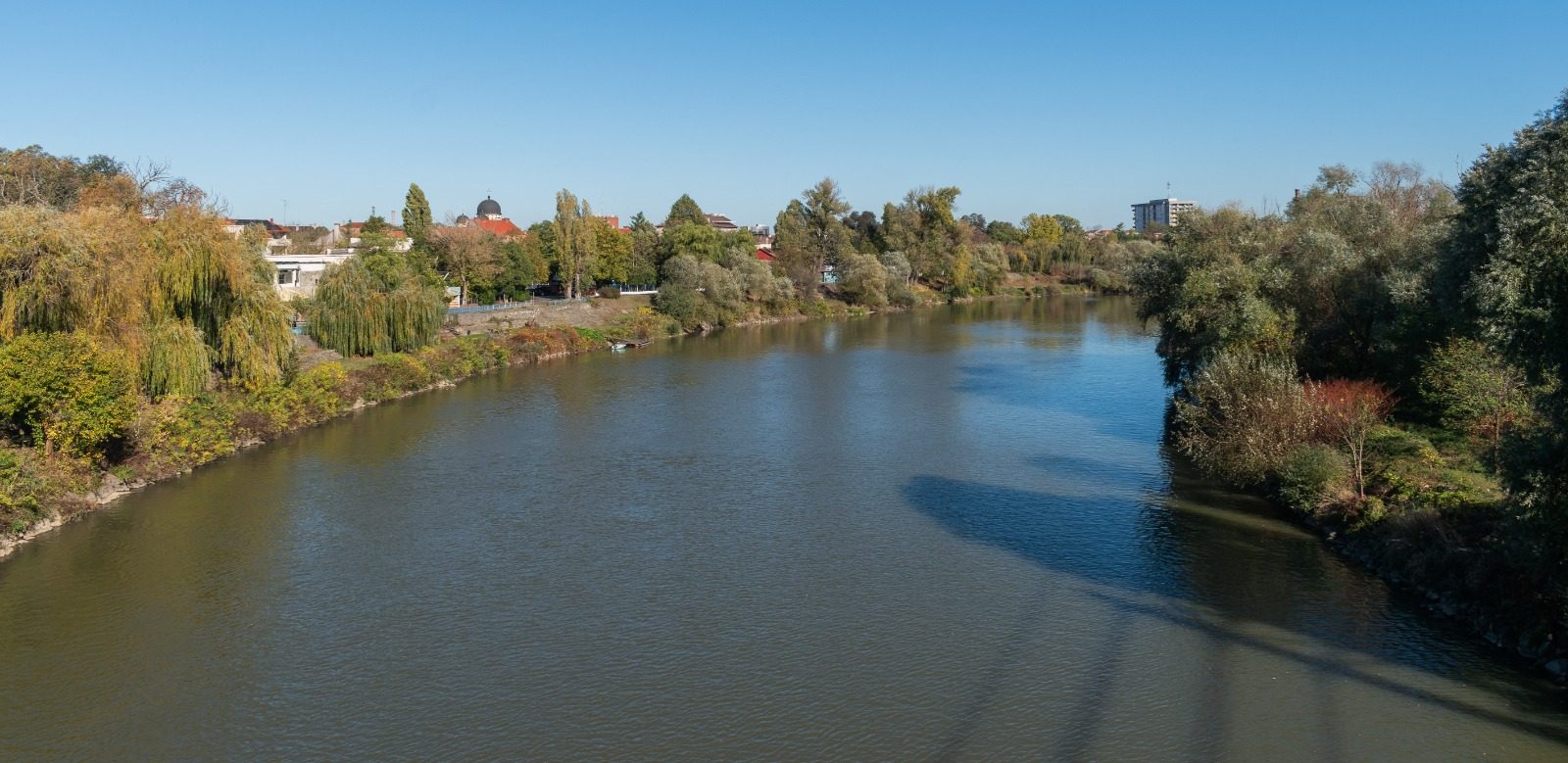 De ce a oprit Prefectura Arad irigațiile și adăparea cu apă din Mureș?