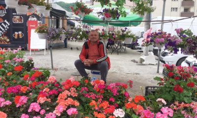 De ce legumicultorii din Caraș-Severin își schimbă direcția spre flori?  - Stiri Resita