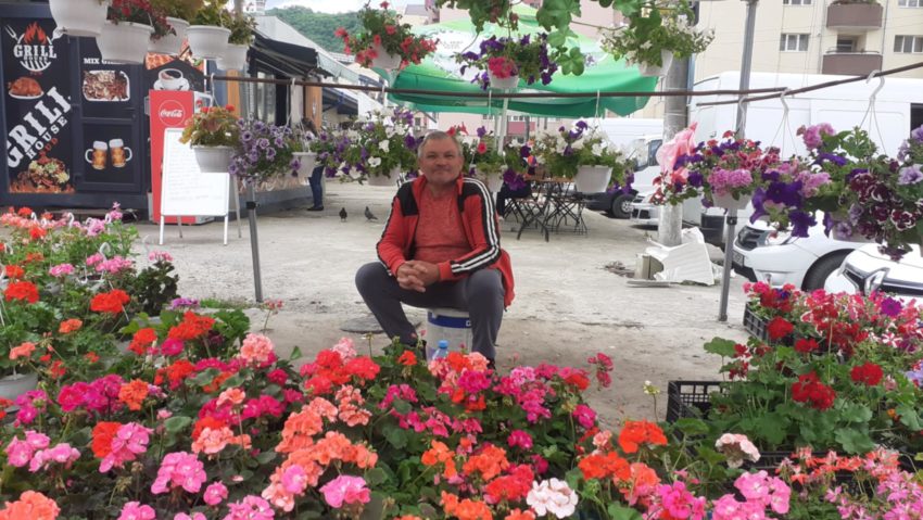 De ce legumicultorii din Caraș-Severin își schimbă direcția spre flori?  - Stiri Resita