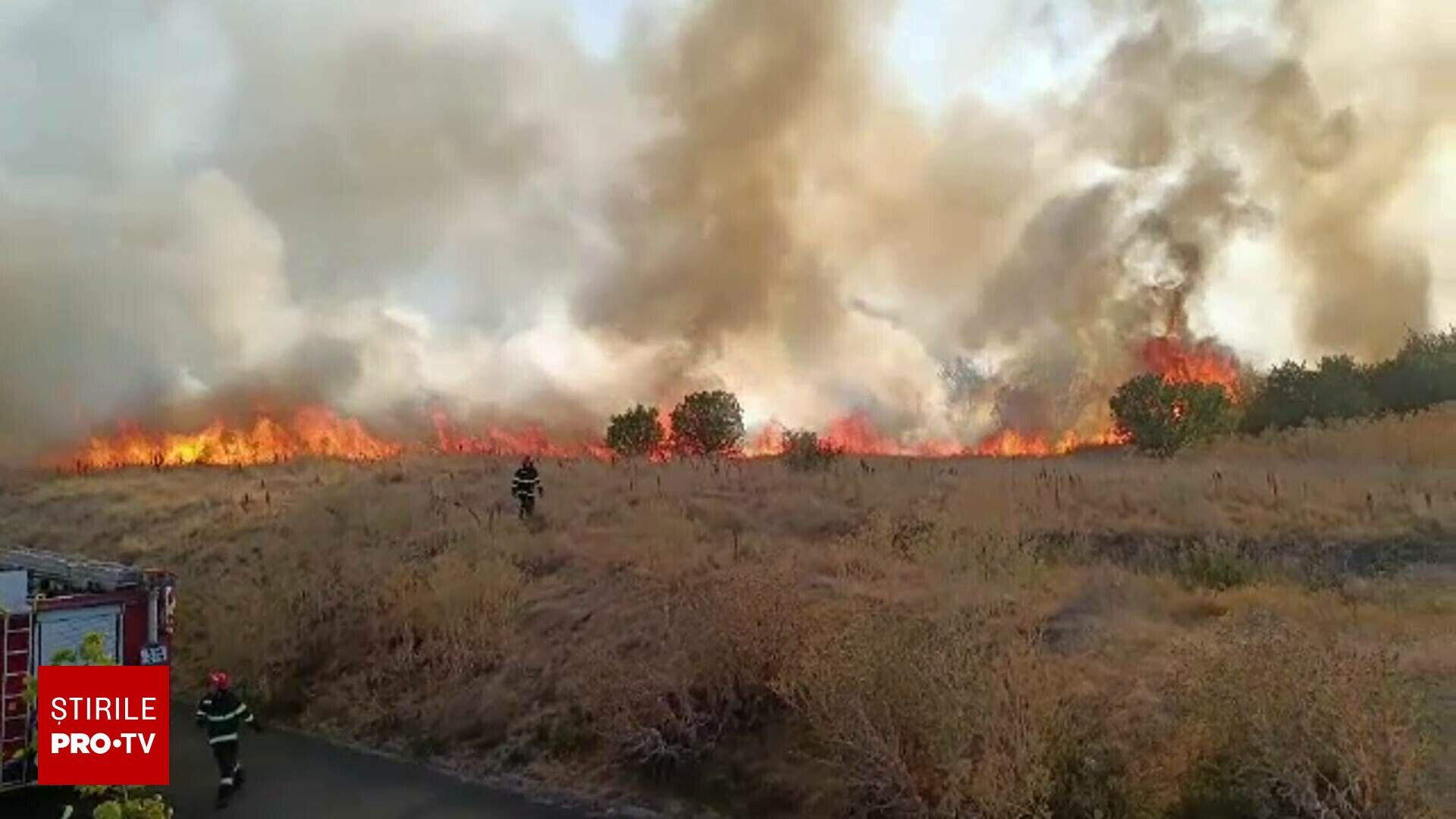 Ce a provocat incendiul de vegetație din Arad care amenința blocurile din apropiere?