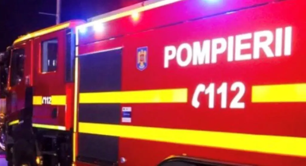 Ce a provocat incendiul din lanul de grâu de lângă Șagu?