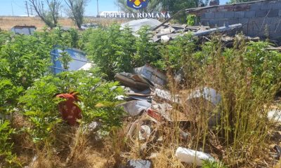 Ce au descoperit autoritățile la o fermă din Arad cu peste 1700 kg de deșeuri periculoase?