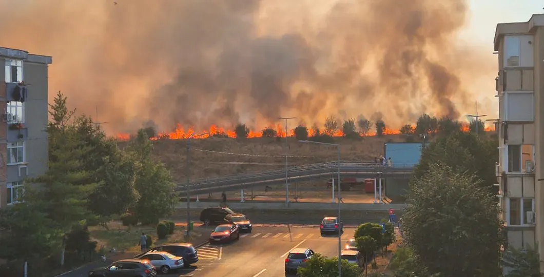 Ce provocări aduc cele trei incendii de vegetație din Arad pentru locuințe și mașini?