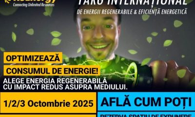 Ce soluții globale pentru România descoperă Timișoara în domeniul energiei?