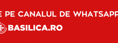 Ce surprize oferă expoziția „Cerul, Pământul și Cuvântul” dedicată Virginiei Baz Baroiu la Timișoara?
