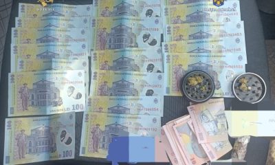 Cum a fost destructurată rețeaua de traficanți de canabis din Gorj și Hunedoara?