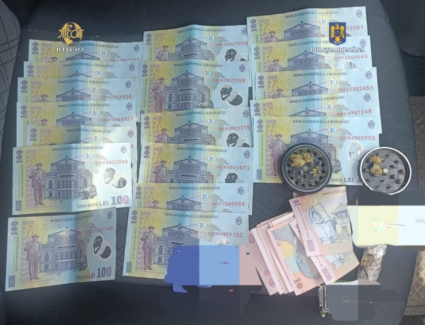 Cum a fost destructurată rețeaua de traficanți de canabis din Gorj și Hunedoara?