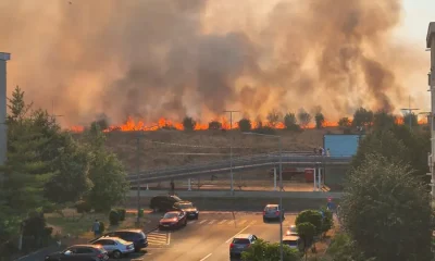 Cum au afectat cele trei incendii de vegetație din Arad locuințele și mașinile?