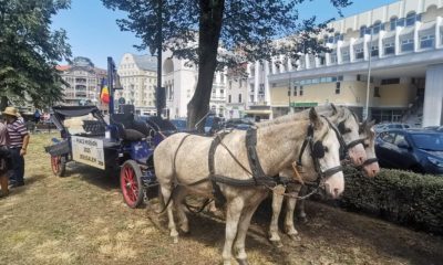 Cum au parcurs căruțele germane 4.800 km de la Berlin la Ierusalim prin Timișoara?