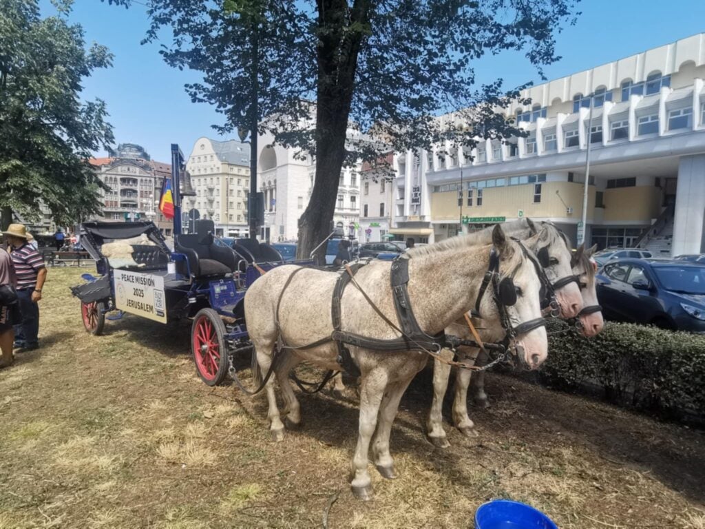 Cum au parcurs căruțele germane 4.800 km de la Berlin la Ierusalim prin Timișoara?