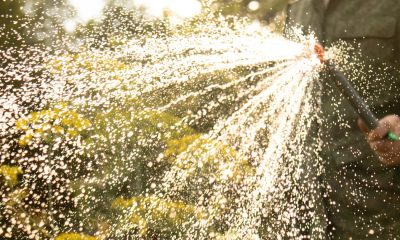 De ce au interzis autoritățile din Arad folosirea apei din Mureș?