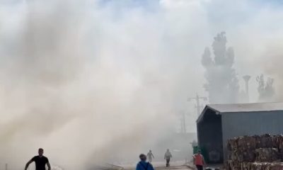 Ce a provocat incendiul la stația de sortare a deșeurilor din Timișoara?
