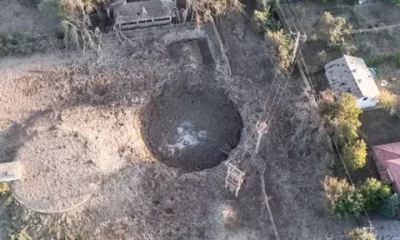 De ce a fost interzisă donația de sânge în Timișoara din cauza virusului West Nile?