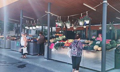 Piețele din Timișoara s-au umplut de lubeniță locală! Care este prețul pe kilogram?