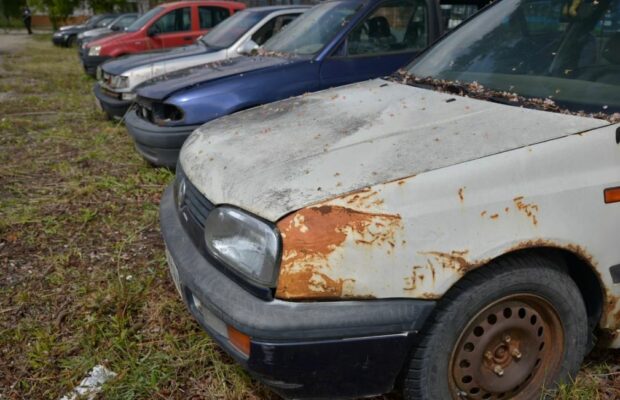 Ce se întâmplă cu cele peste 150 de rable abandonate ridicate în Timișoara?