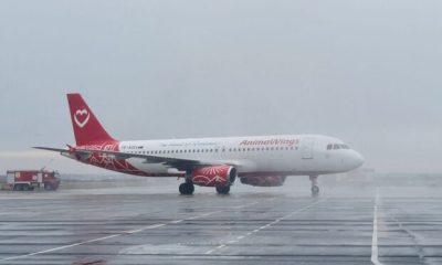 A decolat primul avion Animawings din Timișoara spre Istanbul? Iată detalii!  - Stiri Resita