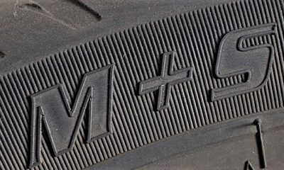 Ce copaci au căzut din cauza greutății zăpezii în zona ta?