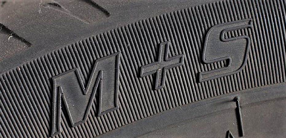 Ce copaci au căzut din cauza greutății zăpezii în zona ta?