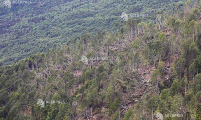 Este cod roșu de vânt puternic în zonele montane din Caraș-Severin și Hunedoara?