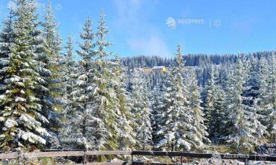 Turiști în Retezat și Parâng: Cum să-ți calculezi timpul pentru trasee?