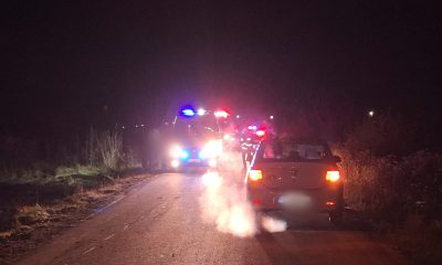 Ce s-a întâmplat în Sânmărtin când un cal a murit și un bărbat a fost rănit?