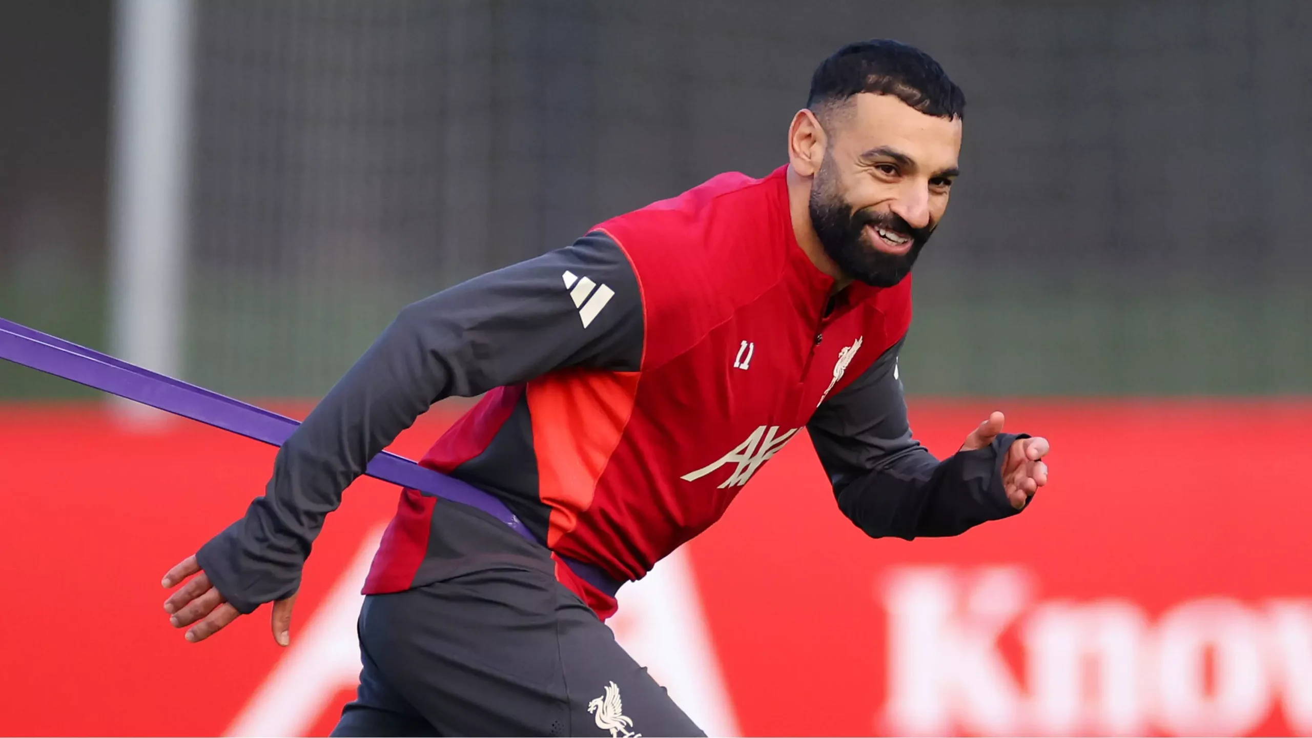 Ce animal misterios a fost filmat în Hunedoara? Surpriză pentru cercetători!