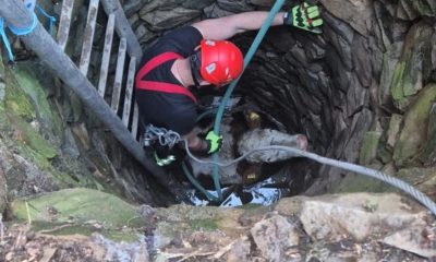 Cum au salvat pompierii din Reșița o bovină căzută într-o fântână?  - Stiri Resita