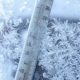 Se apropie gerul! Cum va afecta -12 grade Celsius Timișoara săptămâna aceasta?